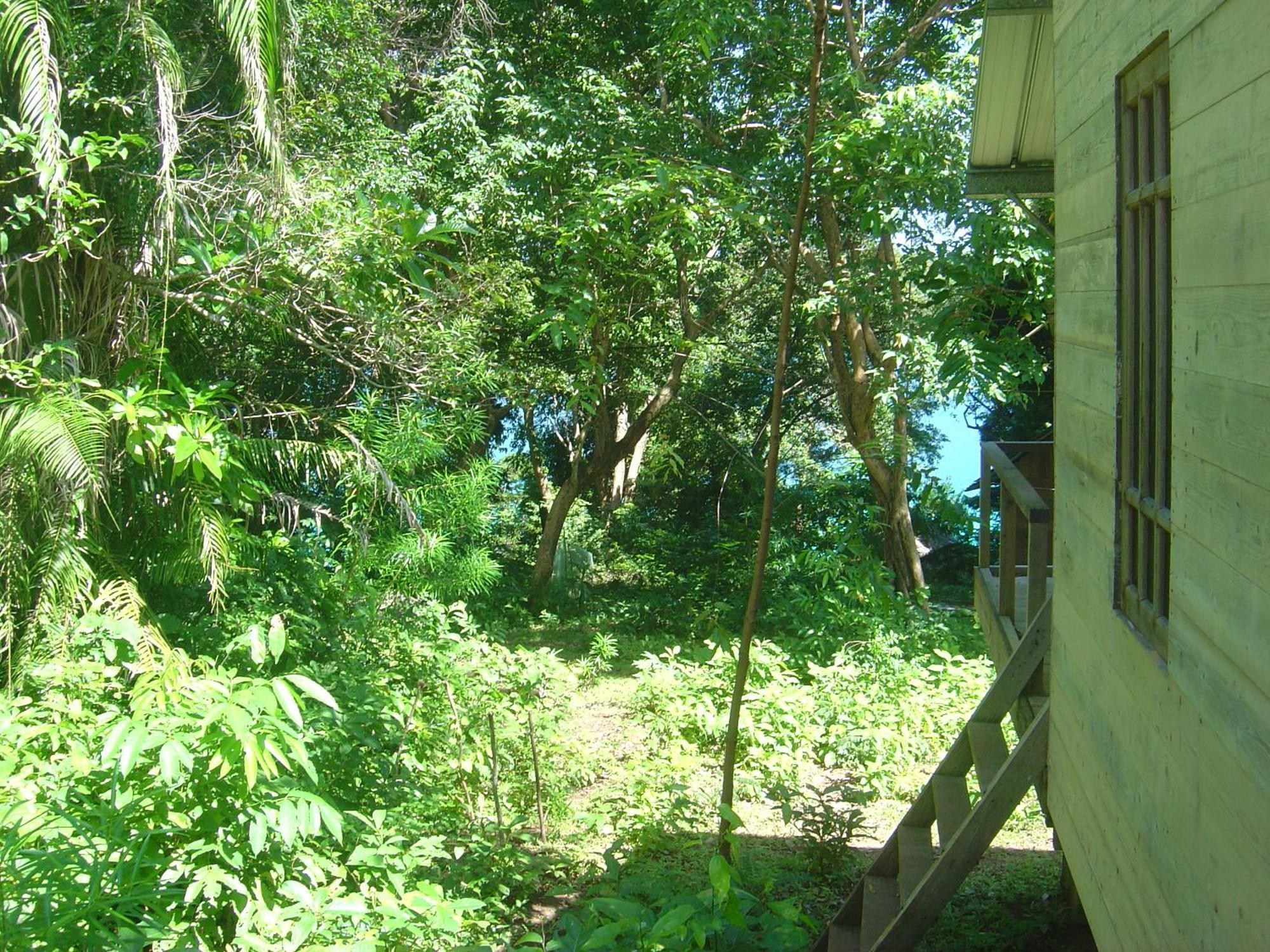 Olala Cafe & Bungalows Sabang  Eksteriør billede